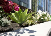 Thumbnail 2 of 18 - Beautiful flowers n courtyard