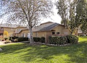 Thumbnail 19 of 38 - Beautiful landscaping around apartment buildings at Riverdale Apartment Homes in Hemet, California.