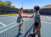 Thumbnail 13 of 18 - two women shaking hands over the net on a tennis court