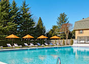 Thumbnail 16 of 24 - Dominion Pool