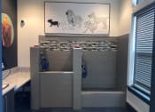 Thumbnail 20 of 29 - Pet Spa