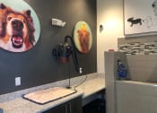 Thumbnail 21 of 29 - Pet Spa
