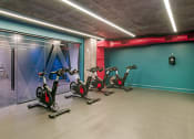 Thumbnail 29 of 40 - a group of spin bikes in a gym with a blue wall and a glass door