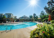 Thumbnail 13 of 33 - A sunny day at a poolside with a building in the background.