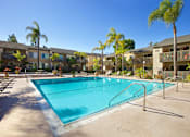 Thumbnail 9 of 27 - A swimming pool surrounded by palm trees and apartment buildings.