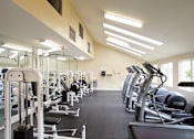 Thumbnail 11 of 27 - A gym with a variety of equipment including treadmills, weights, and exercise machines.