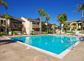 Thumbnail 10 of 27 - A swimming pool surrounded by palm trees and apartment buildings.