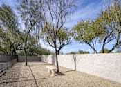 Thumbnail 37 of 39 - Dog Park at Vintage at Scottsdale, SCOTTSDALE, AZ 85260
