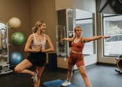 Thumbnail 19 of 26 - two women are standing on yoga mats in a gym