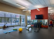 Thumbnail 20 of 26 - a workout room with weights and cardio equipment and a television