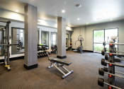 Thumbnail 4 of 19 - The Juncture Apartments free weights area