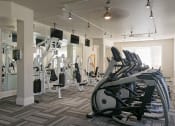 Thumbnail 5 of 18 - Hamptons on Heron Bay fitness center