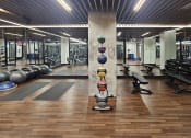 Thumbnail 6 of 36 - Fully-stocked fitness center - Main 3 Downtown