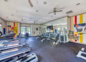 Thumbnail 6 of 19 - The Oaks at Johns Creek - Fully-equipped fitness center