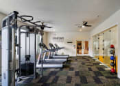 Thumbnail 6 of 21 - The Vineyards fitness center