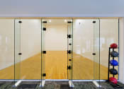 Thumbnail 7 of 21 - The Vineyards indoor racquetball court