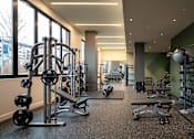 Thumbnail 8 of 27 - State-of-the-art fitness center with weights - Brentford at the Mile
