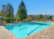 Thumbnail 8 of 25 - the enclave at homecoming terra vista heated pool