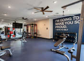 Thumbnail 11 of 46 - Element 25 fitness center weights