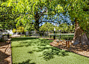 Thumbnail 11 of 29 - Pet-friendly community with dog park - Evergreen Lenox Park