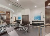 Thumbnail 11 of 24 - 3000 Sage - Free weights in fitness center