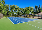 Thumbnail 12 of 30 - Sports court - Preserve at Blue Ravine