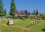 Thumbnail 11 of 30 - Pet park with exercise stations - Willow Spring Apartments