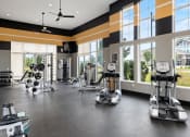Thumbnail 13 of 30 - The Haven at Shoal Creek - 24-hour fitness center