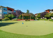 Thumbnail 14 of 30 - Quinn Crossing putting green