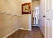 Thumbnail 14 of 17 - Walk-in closets - Springbrook Apartments