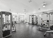 Thumbnail 13 of 31 - Fitness center with strength training equipment - Egret's Landing Apartments