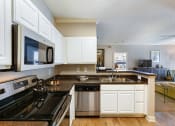 Thumbnail 16 of 24 - Island Park and Harbor Town Square Apartments - Stainless steel appliances