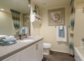Thumbnail 15 of 18 - Hamptons on Heron Bay bathroom counter