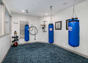 Thumbnail 16 of 37 - Boxing room - Monterra Las Colinas Apartments