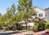 Thumbnail 17 of 17 - Beautiful tree lined grounds - Springbrook Apartments
