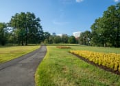 Thumbnail 18 of 21 - Arlington Ridge Park stock