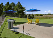 Thumbnail 19 of 30 - Dog park - Rise at 2534