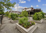 Thumbnail 23 of 36 - a group of raised beds with plants in a community garden