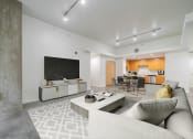 Thumbnail 27 of 36 - Track lighting in living rooms - Main 3 Downtown