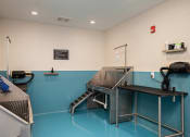 Thumbnail 27 of 46 - Element 25 pet grooming station
