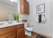 Thumbnail 20 of 30 - the preserve at ballantyne commons apartment bathroom with sink toilet and mirror