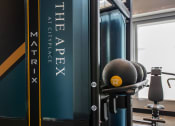 Thumbnail 44 of 75 - two weighted balls in an indoor gym with a bench in the background at The Apex at CityPlace, Kansas, 66210