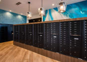Thumbnail 52 of 75 - mail room with black mailboxes of various sizes at The Apex at CityPlace, Overland Park, Kansas