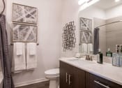Thumbnail 40 of 75 - bathroom with a shower, toilet, and large vanity with mirror at The Apex at CityPlace, Kansas, 66210