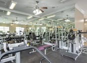 Thumbnail 9 of 50 - A gym with a variety of equipment including treadmills, weights, and exercise machines.
