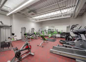 Thumbnail 4 of 15 - a gym with cardio equipment and weights on the floor