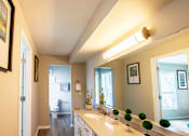Thumbnail 19 of 25 - A bathroom with a vanity, a mirror, and a potted plant.