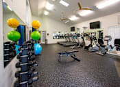 Thumbnail 15 of 25 - A gym with a variety of equipment including treadmills, exercise balls, and weights.