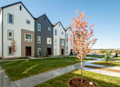 Thumbnail 9 of 18 - A tree with orange leaves stands in front of a white building.