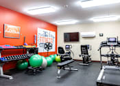 Thumbnail 11 of 14 - A gym room with a row of exercise balls and a treadmill.